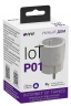 WiFi Умная розетка 10А  P01